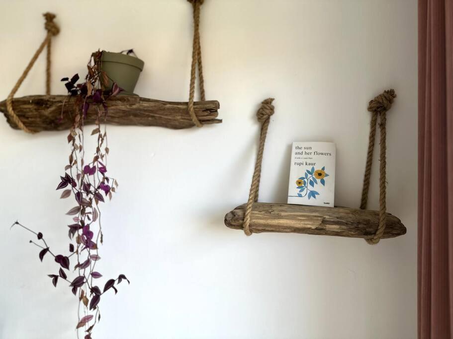 Appartement Cosy Calao - Parking Ferme Gratuit ペルピニャン エクステリア 写真