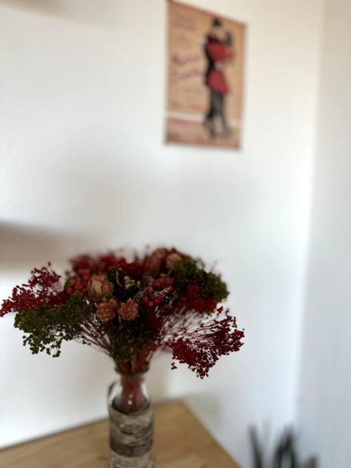 Appartement Cosy Calao - Parking Ferme Gratuit ペルピニャン エクステリア 写真