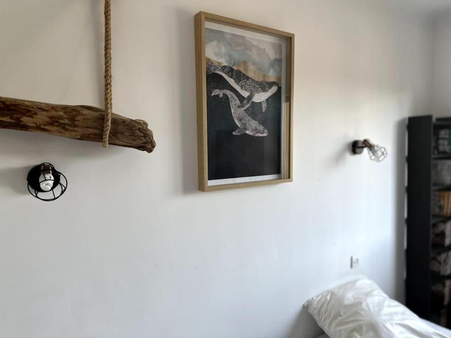 Appartement Cosy Calao - Parking Ferme Gratuit ペルピニャン エクステリア 写真